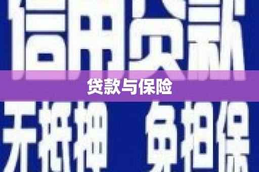 称多贷款与保险
