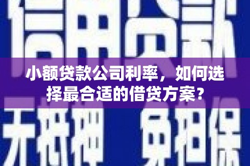 称多小额贷款公司利率，如何选择最合适的借贷方案？