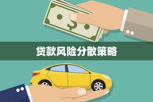 称多贷款风险分散策略
