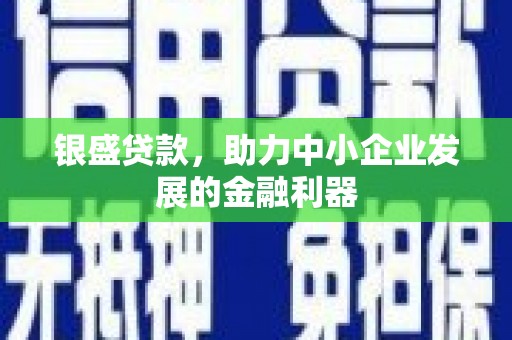 称多银盛贷款，助力中小企业发展的金融利器