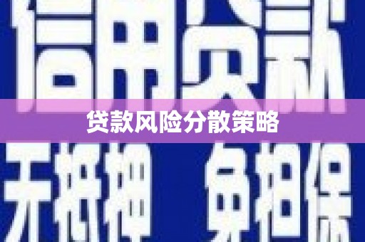 称多贷款风险分散策略