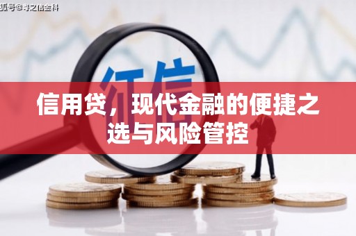 称多信用贷，现代金融的便捷之选与风险管控