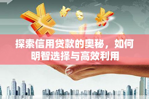 称多探索信用贷款的奥秘，如何明智选择与高效利用