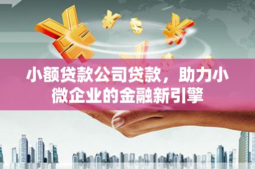 称多小额贷款公司贷款，助力小微企业的金融新引擎