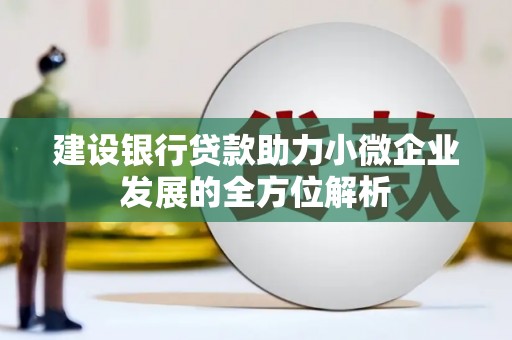 称多建设银行贷款助力小微企业发展的全方位解析