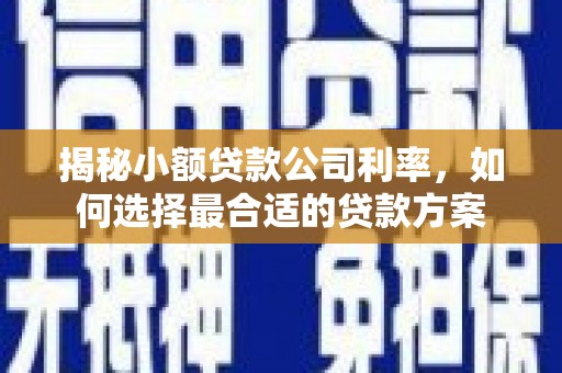 称多揭秘小额贷款公司利率，如何选择最合适的贷款方案