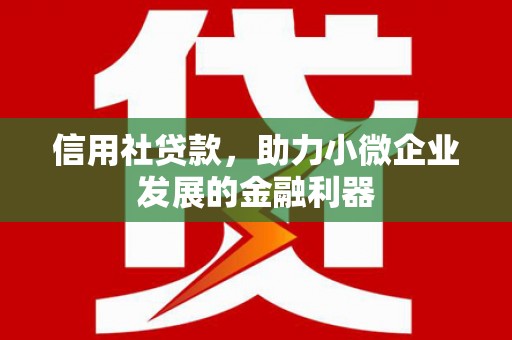 称多信用社贷款，助力小微企业发展的金融利器