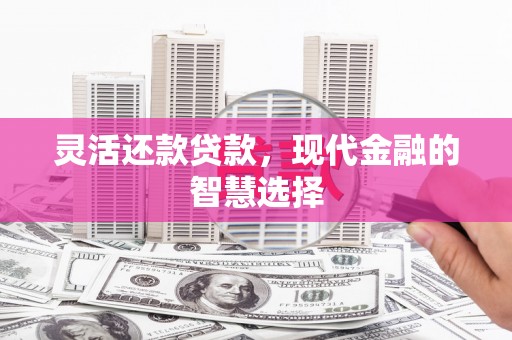 称多灵活还款贷款，现代金融的智慧选择