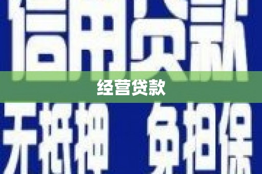 称多经营贷款