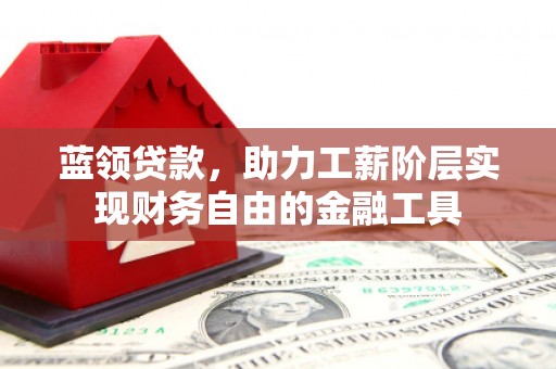 称多蓝领贷款，助力工薪阶层实现财务自由的金融工具