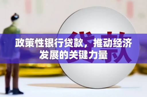 称多政策性银行贷款，推动经济发展的关键力量