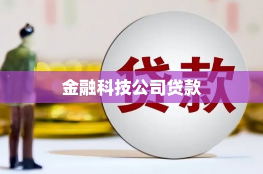 称多金融科技公司贷款