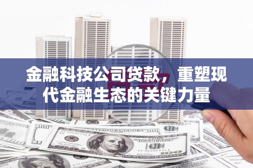称多金融科技公司贷款，重塑现代金融生态的关键力量