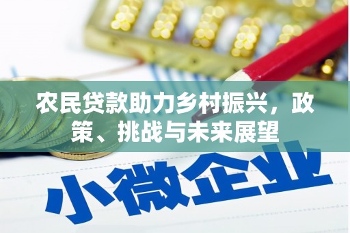 称多农民贷款助力乡村振兴，政策、挑战与未来展望
