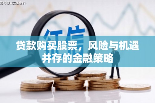 称多贷款购买股票，风险与机遇并存的金融策略