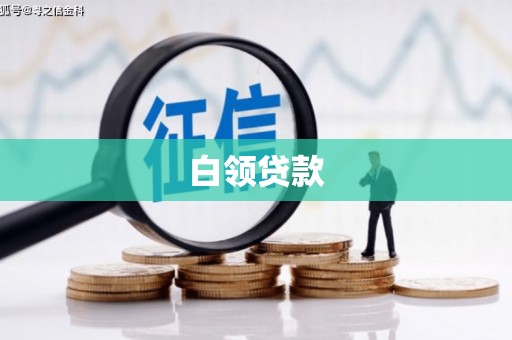称多白领贷款