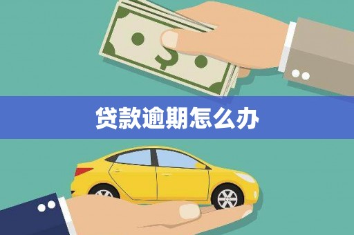 称多贷款逾期怎么办