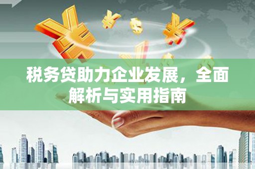 称多税务贷助力企业发展，全面解析与实用指南