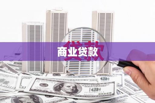 称多商业贷款