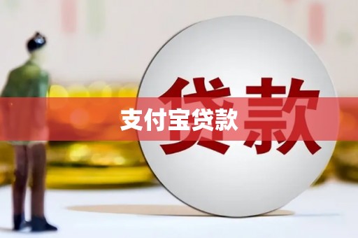 称多支付宝贷款