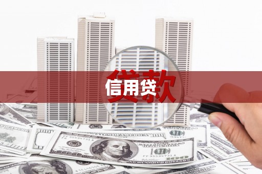 称多信用贷