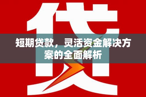 称多短期贷款，灵活资金解决方案的全面解析
