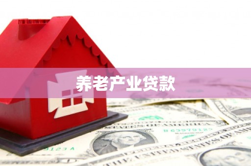称多养老产业贷款