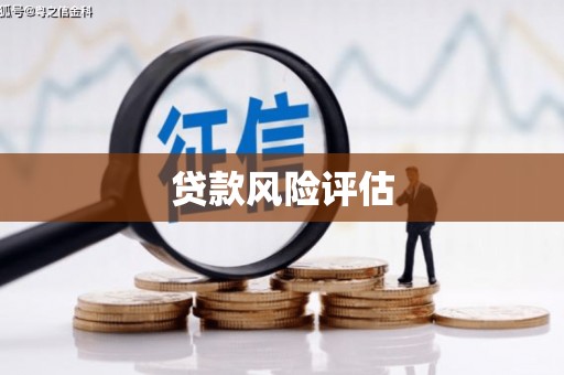 称多贷款风险评估