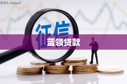 称多蓝领贷款