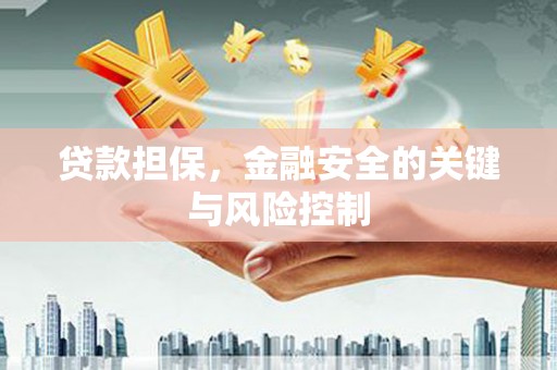称多贷款担保，金融安全的关键与风险控制