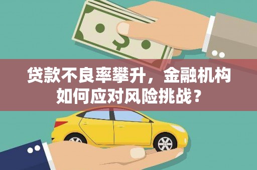 称多贷款不良率攀升，金融机构如何应对风险挑战？