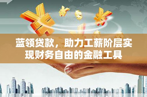 称多蓝领贷款，助力工薪阶层实现财务自由的金融工具