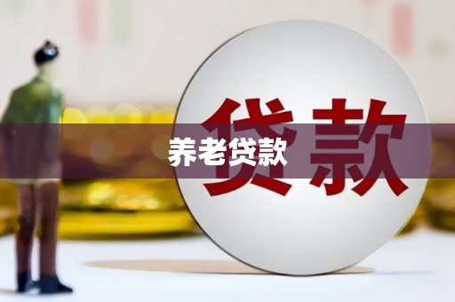 称多养老贷款
