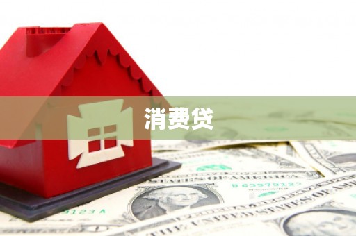 称多消费贷
