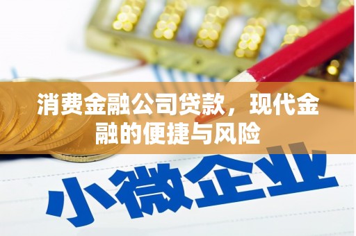称多消费金融公司贷款，现代金融的便捷与风险