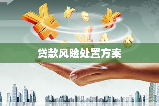 称多贷款风险处置方案