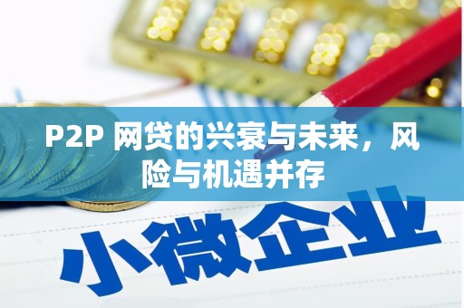 称多P2P 网贷的兴衰与未来，风险与机遇并存