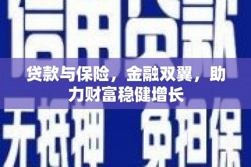 称多贷款与保险，金融双翼，助力财富稳健增长
