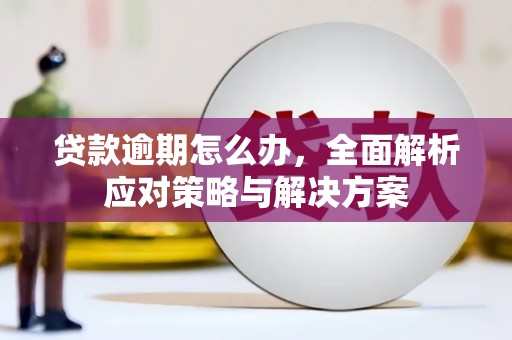 称多贷款逾期怎么办，全面解析应对策略与解决方案