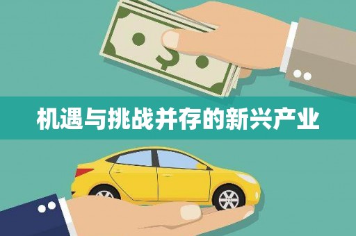 称多机遇与挑战并存的新兴产业