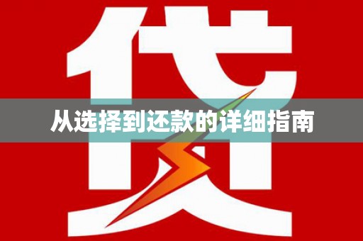 称多从选择到还款的详细指南