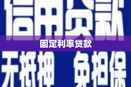 称多固定利率贷款