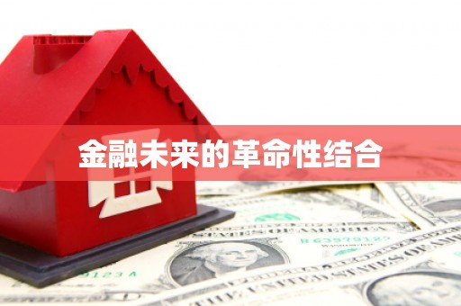 称多金融未来的革命性结合