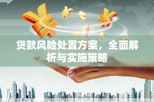 称多贷款风险处置方案，全面解析与实施策略