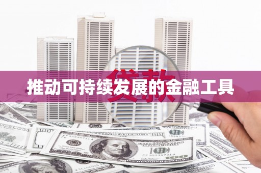 称多推动可持续发展的金融工具