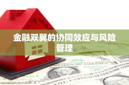 称多金融双翼的协同效应与风险管理