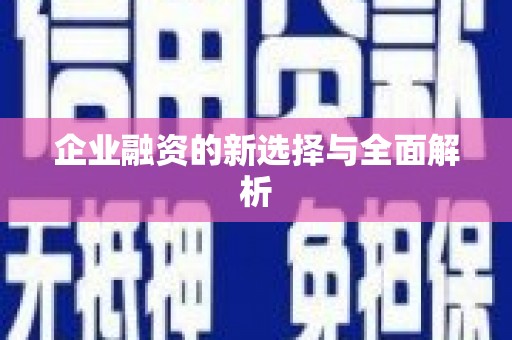 称多企业融资的新选择与全面解析