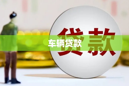 称多车辆贷款