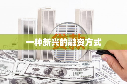称多一种新兴的融资方式