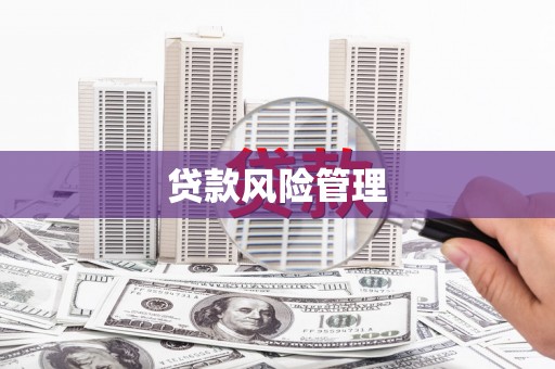 称多贷款风险管理